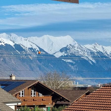 Mountain - Lake Apartement 1 Wilderswil Kültér fotó